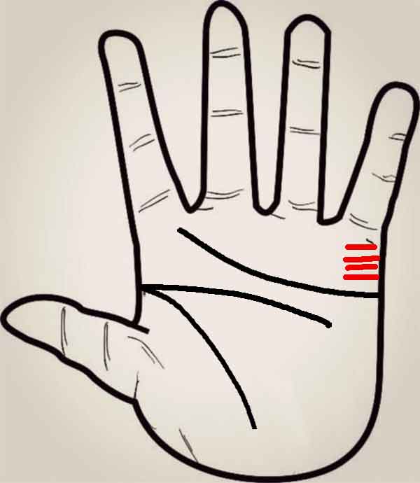 결혼선 여러줄인 모양