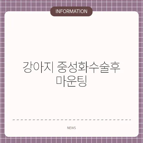 강아지 중성화수술후 마운팅
