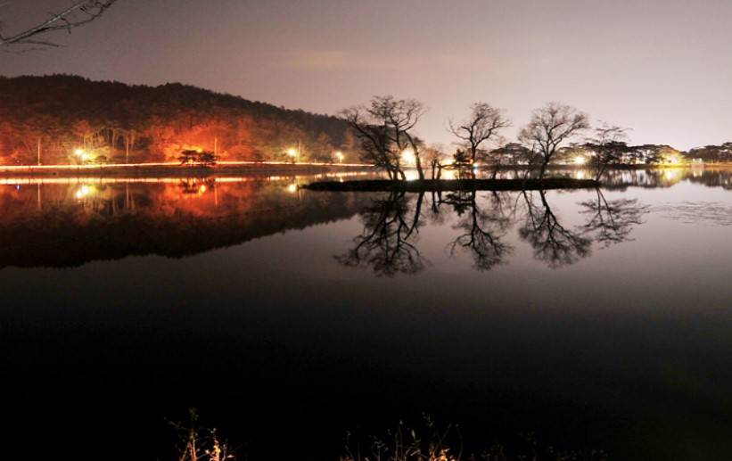 제천시 경제활력지원금 20만원 신청방법