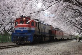 코레일 기차표 예매 바로가기 완벽 교통 예약_5