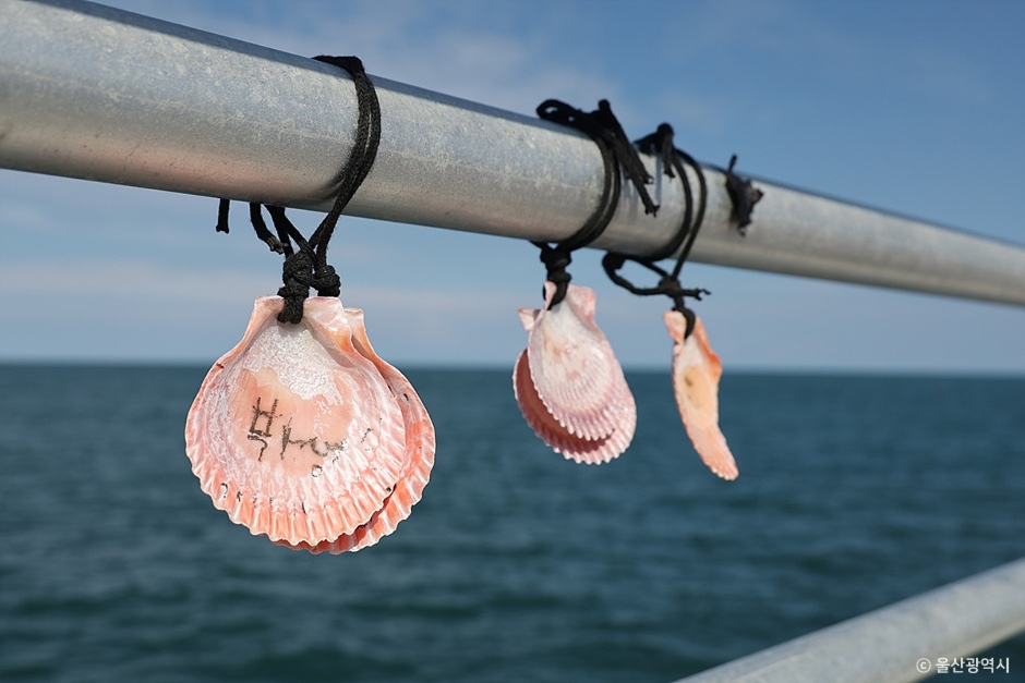 울산 당사해양낚시공원