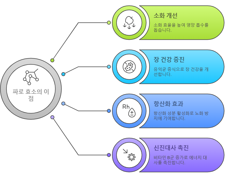 파로 효소 효능