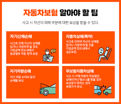 자동차보험료 비교견적