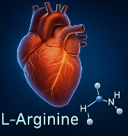 아르기닌 효능