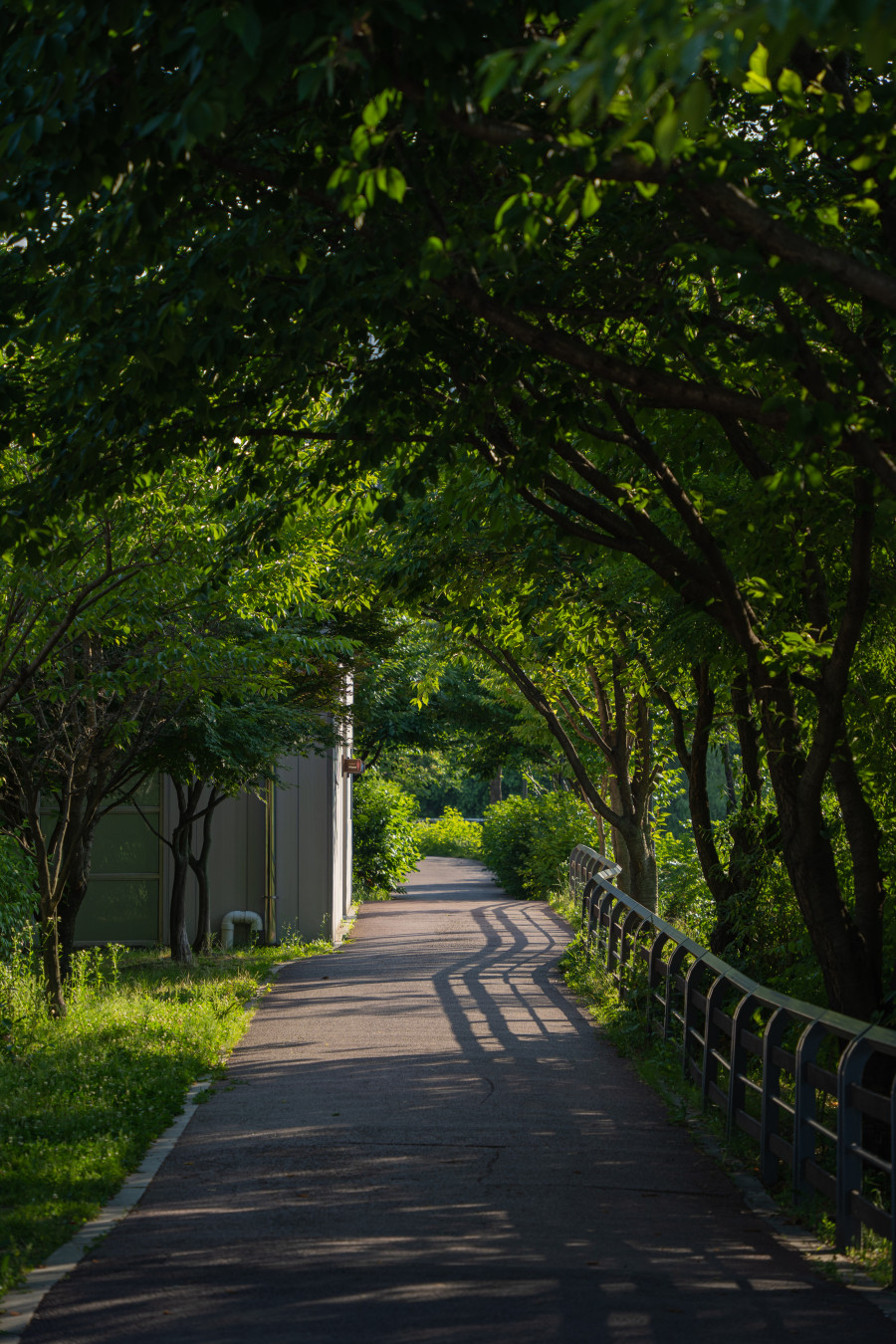 신동 수변공원 분위기