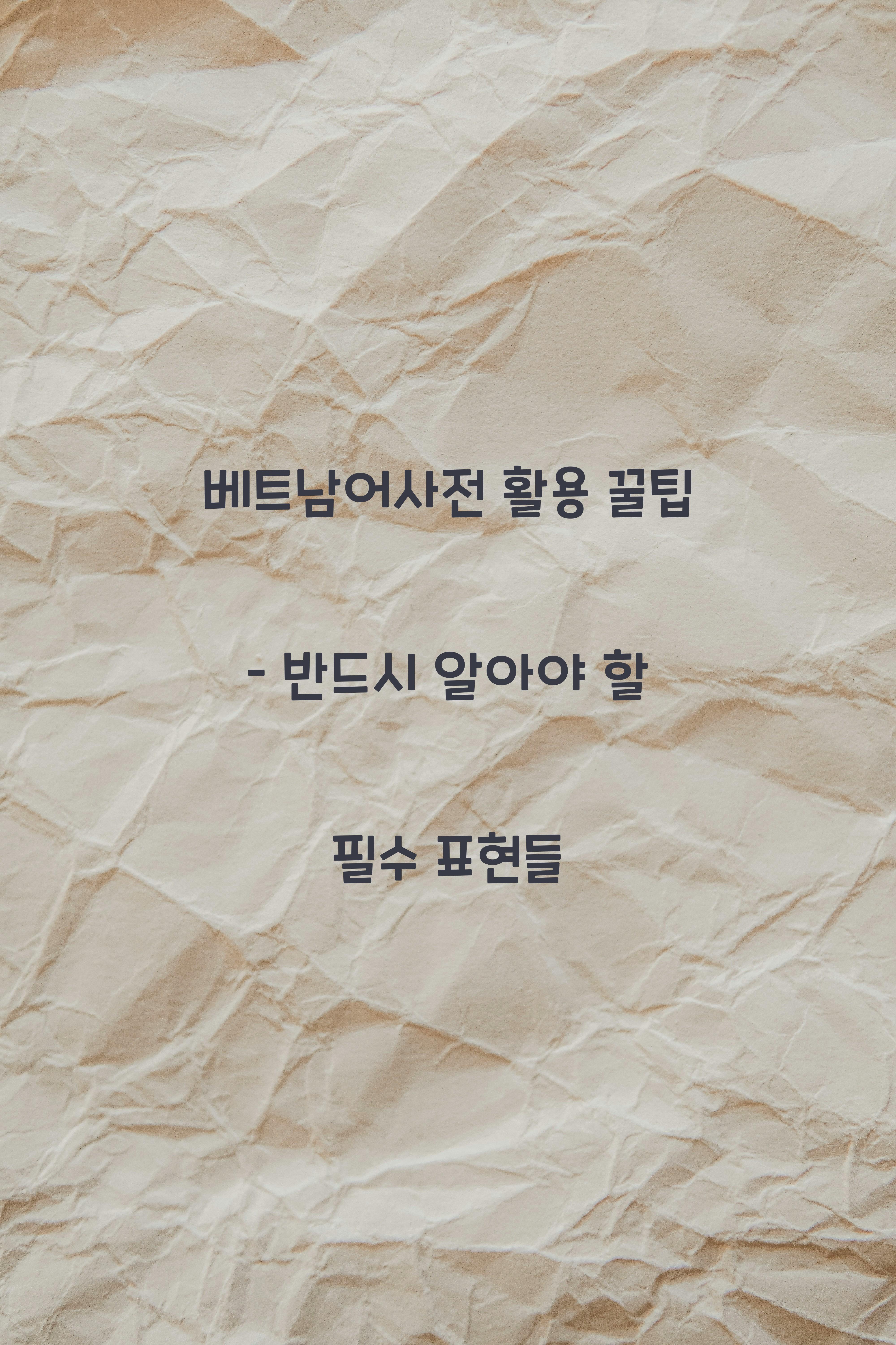 베트남어사전