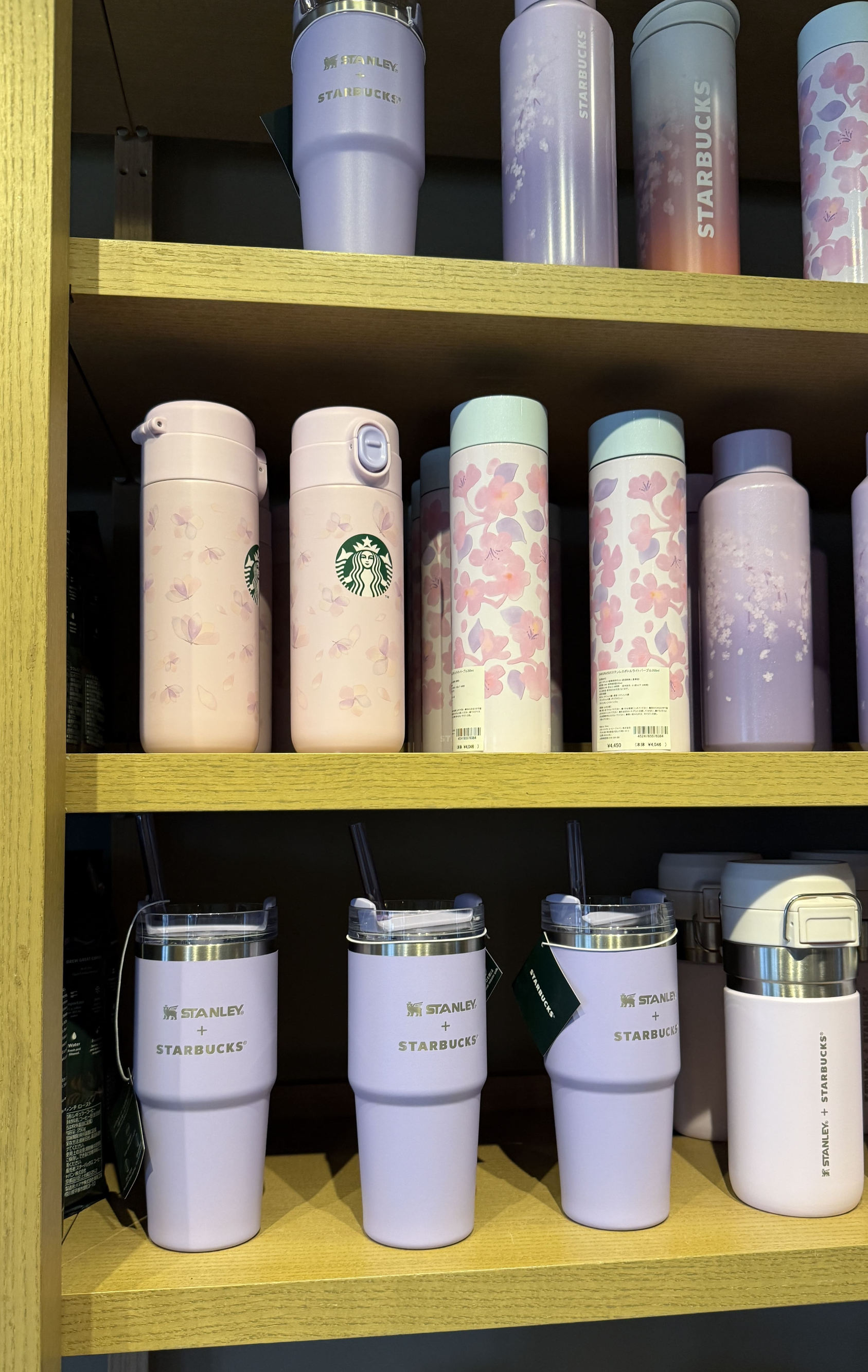 교토 봄 스타벅스