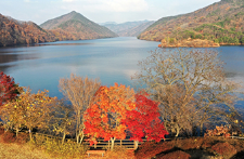 천상의정원 수생식물학습원 정보 안내