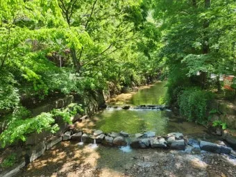 걷기 좋은 명품 숲길 50선 전국 서울 경기_18