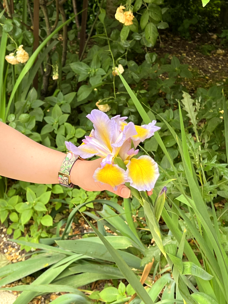 보르도 식물원(Jardin Public) 다양한 꽃