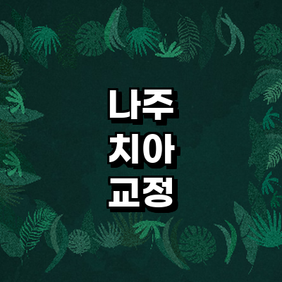 나주시 교정 치과