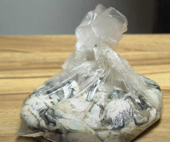 생굴-비닐봉지-냉동보관