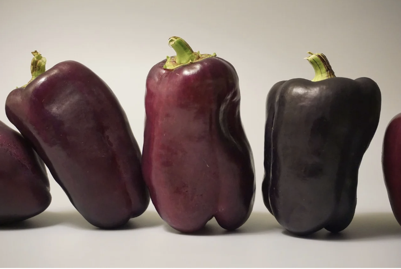 팔레오 식단 실천 전 꼭 알아야 할 점들