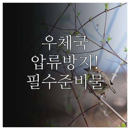 기초생활수급자 우체국 압류방지계좌 개..