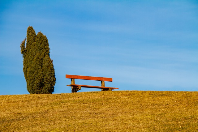 어른의 행복은 조용하다 리뷰 관련 사진