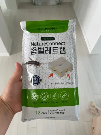 좀벌레 생기는 원인과 퇴치법 하얀벌레 제거 방법_18