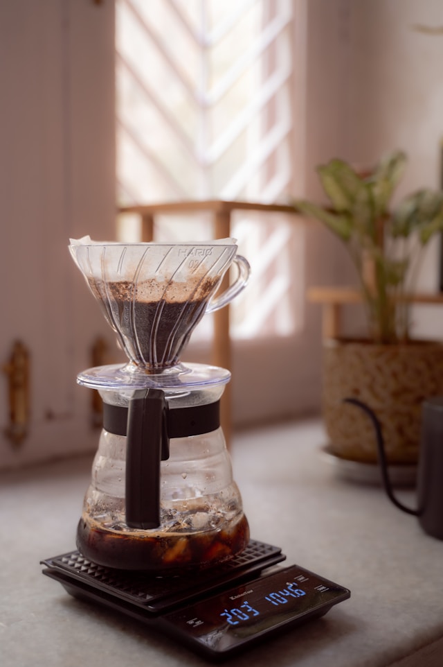 홈카페 이중유리컵 이것만 알면 끝