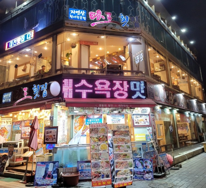 6시내고향 수요일엔 수산물 보령 갑오징어식당