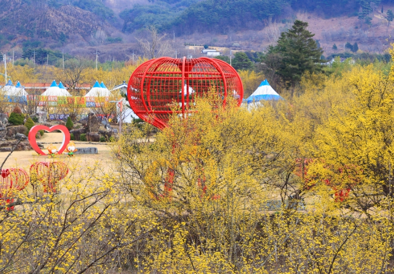 전남 산수유꽃축제