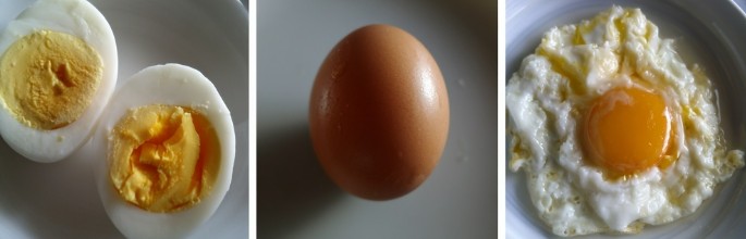 계란