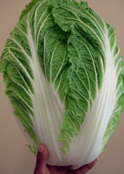 김장김치 양념 맛있게 만드는 방법