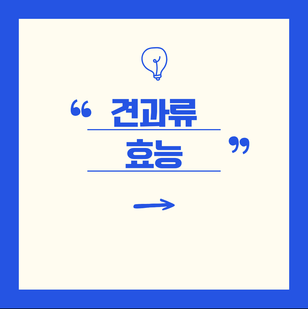 견과류 효능 먹고 난다면 배가 금방 안꺼져