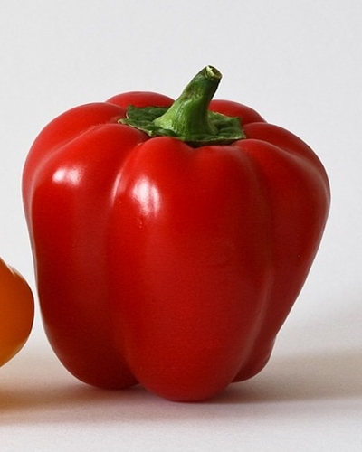 파프리카 효능 사진3