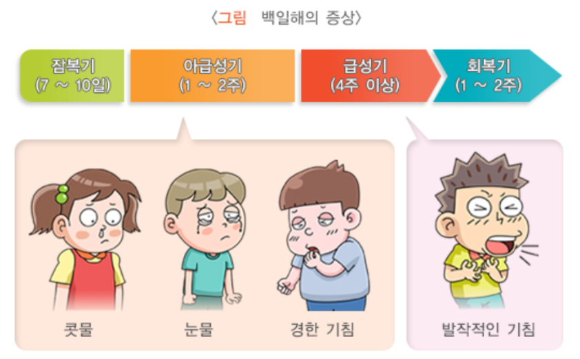 백일해증상-일러스트