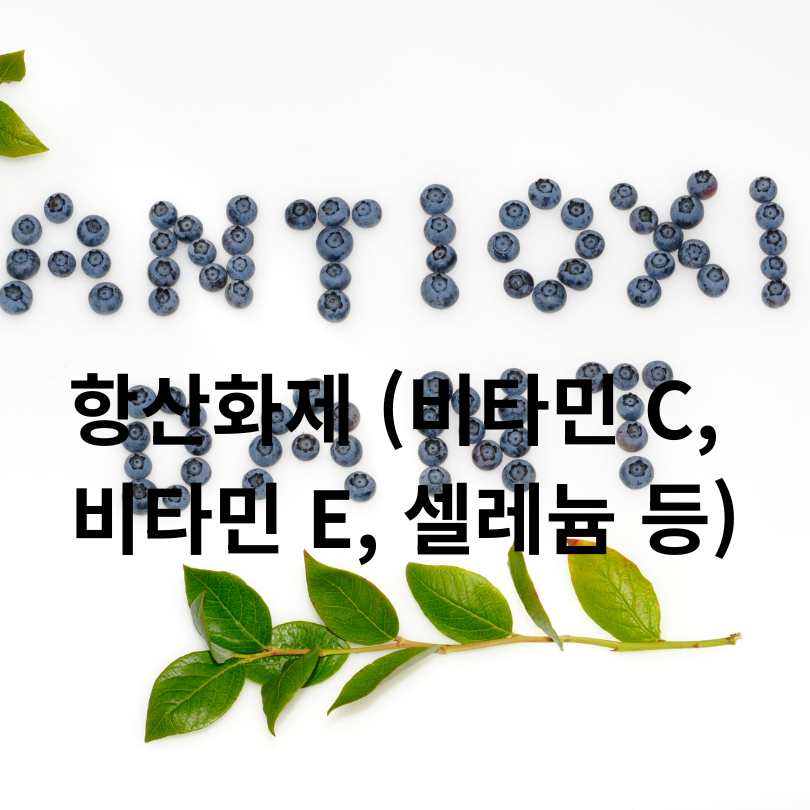 피부암 예방에 좋은 영양제 