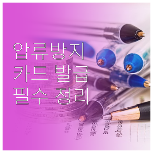압류방지계좌 전용 체크카드 발급 가능..