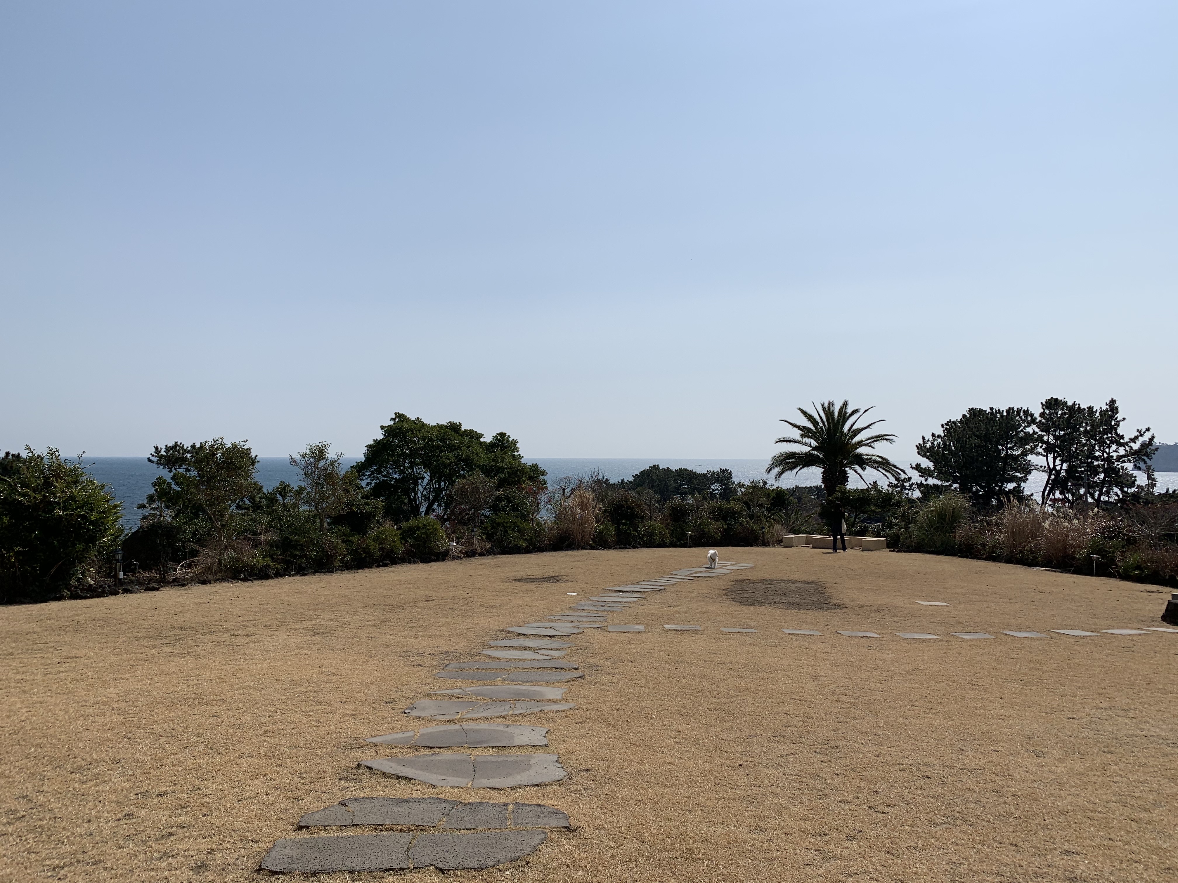 서귀포 오션뷰 카페