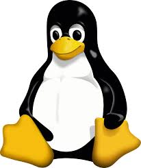 [Linux] 프로세스와 시그널