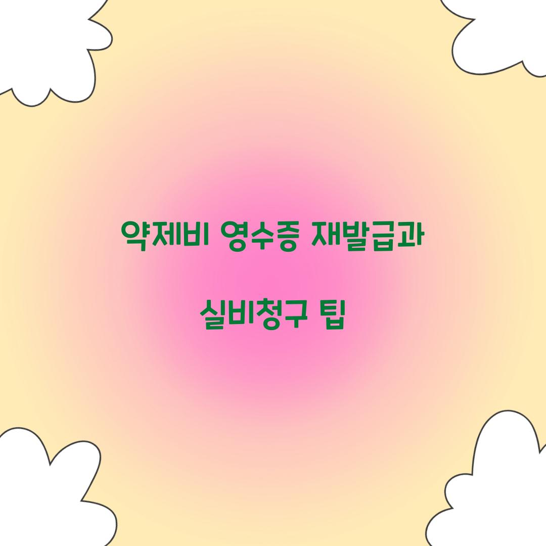 약제비 영수증 재발급