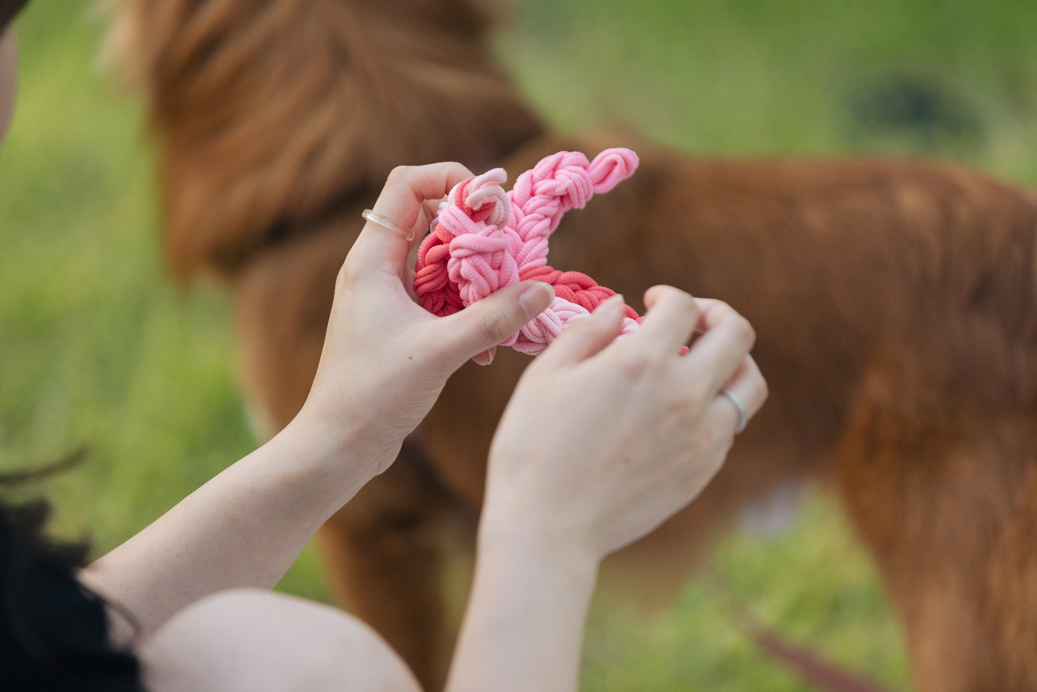 서울공예박물관 한글날 반려견 동반 펫크닉 프로그램 일정 시간 참가 신청 접수 방법 활동 내용