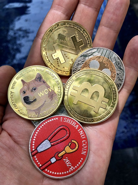 더그래프 코인 시세 호재 전망 가상화폐시세 비트코인 시세 전망