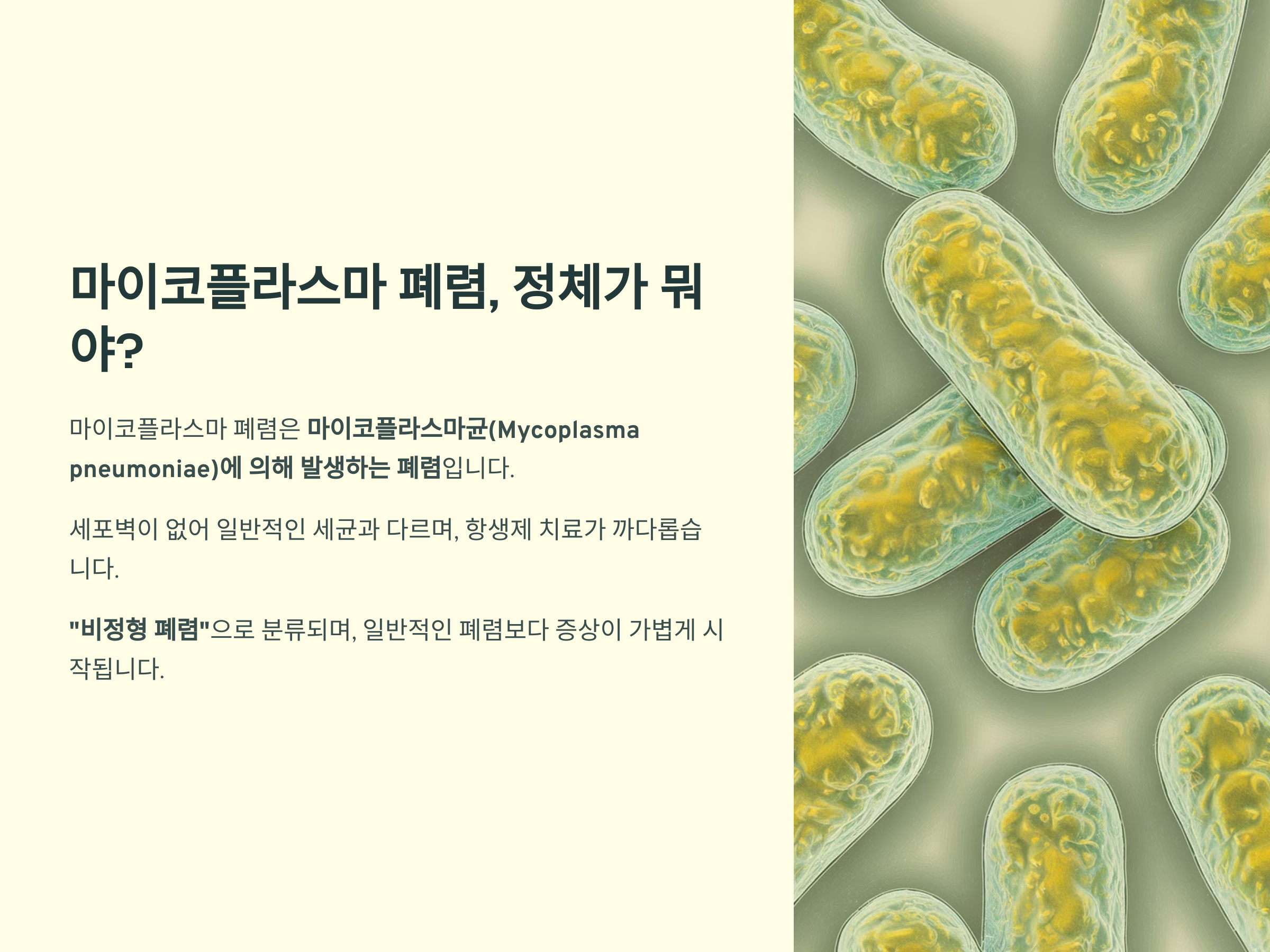 기침 멈추지 않아? 마이코플라스마 폐렴 의심!