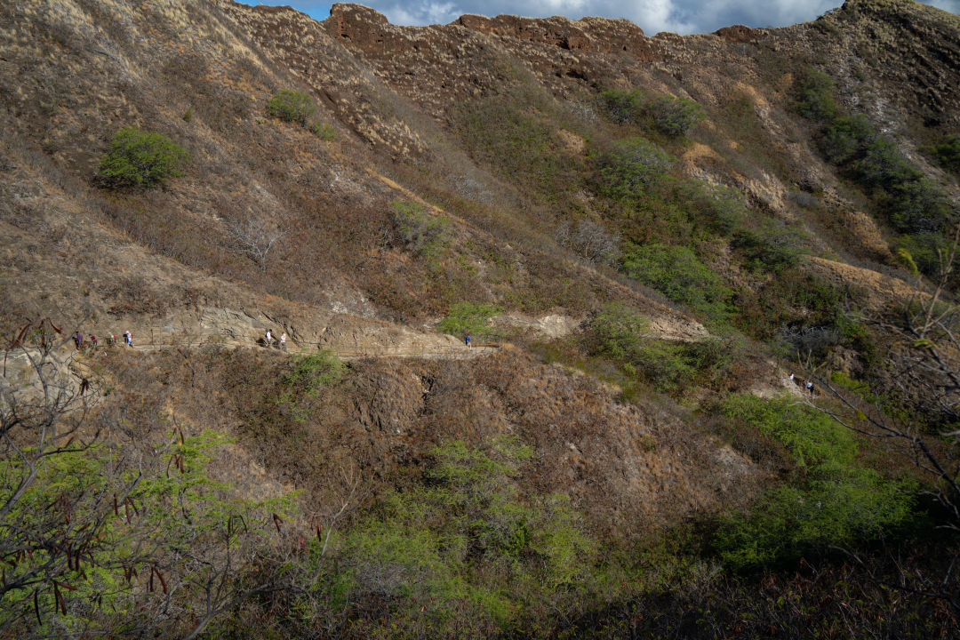 하와이 다이아몬드 헤드 올라가는길