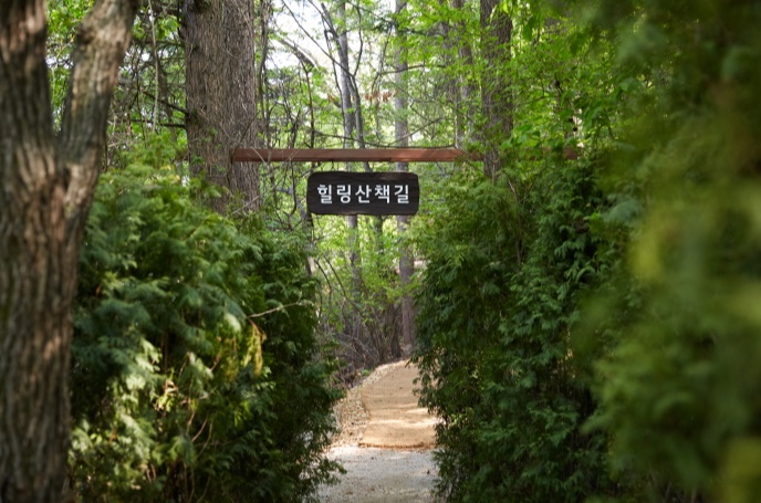 힐링산책길