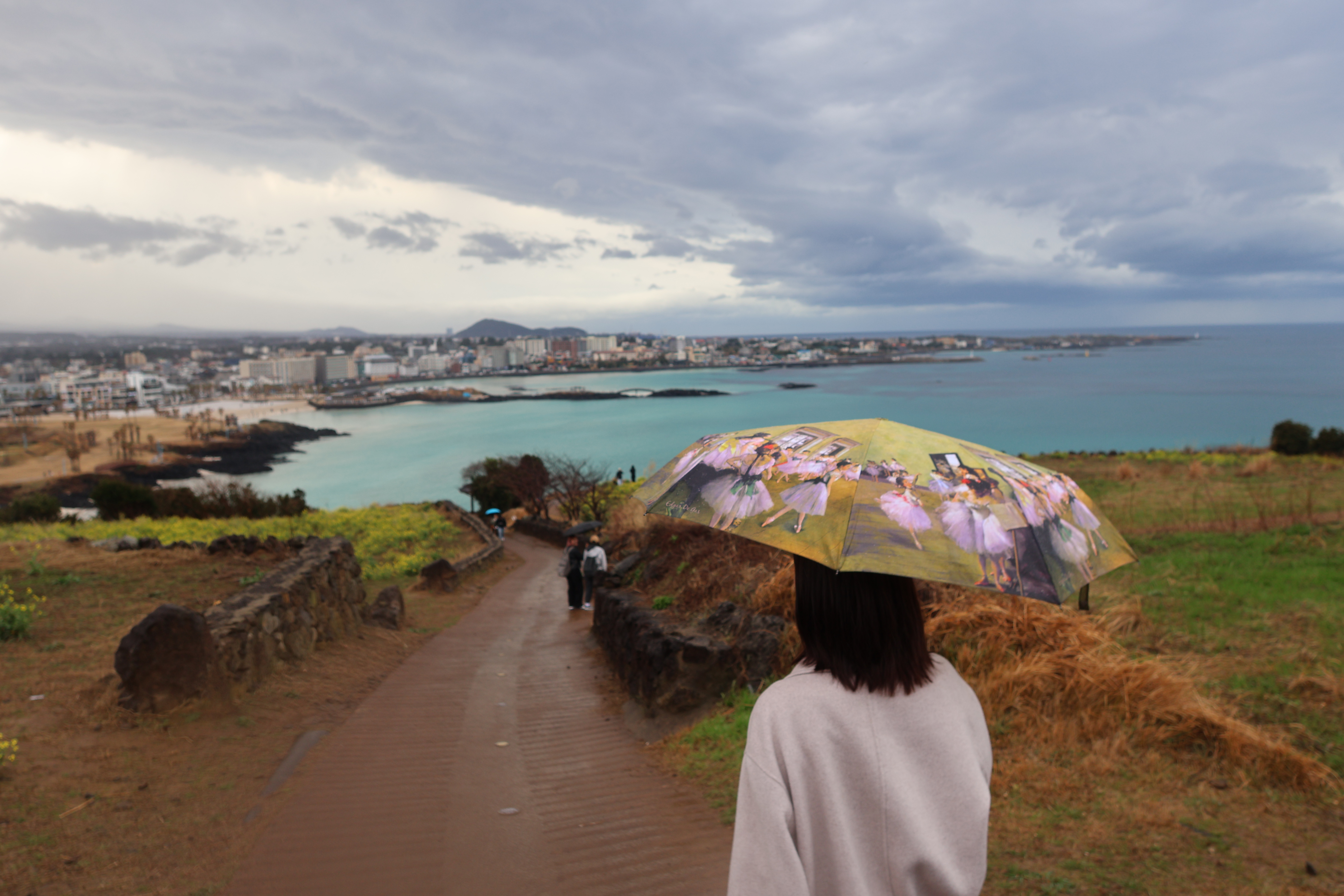 제주-유채꽃-명소