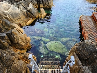 ๊ณ ์ฑ ๋ฌธ์ ํด๋ณ