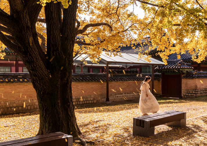 2024 숙박 세일 페스타 쿠폰 다운로드 방법 1분컷 받기