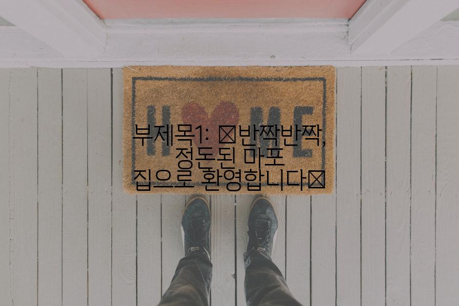 부제목1: ✨반짝반짝, 정돈된 마포 집으로 환영합니다✨