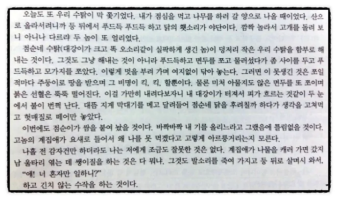 동백꽃 줄거리 김유정 단편소설 춘천_9