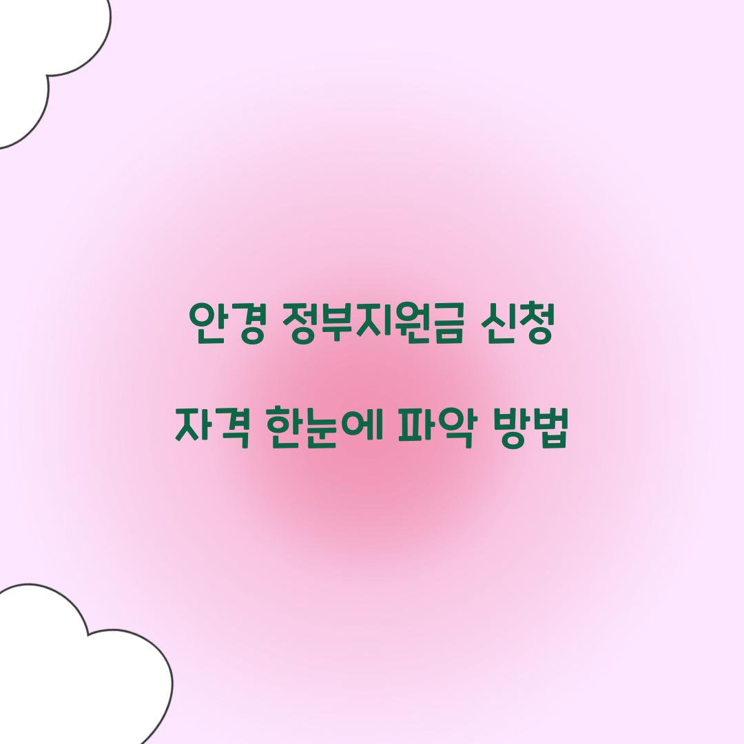 안경 정부지원금 신청
