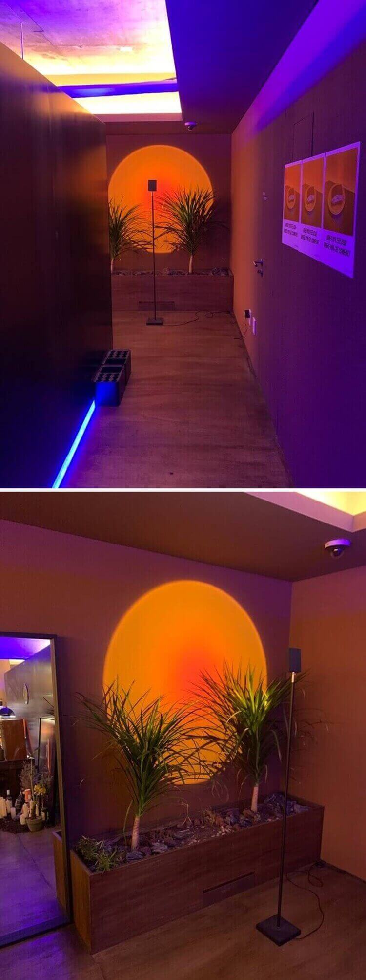 세렝게티같은 석양 조명