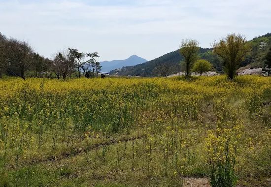 브이랜드공원