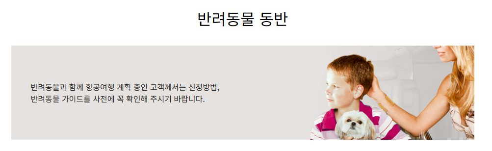 반려동물 동반