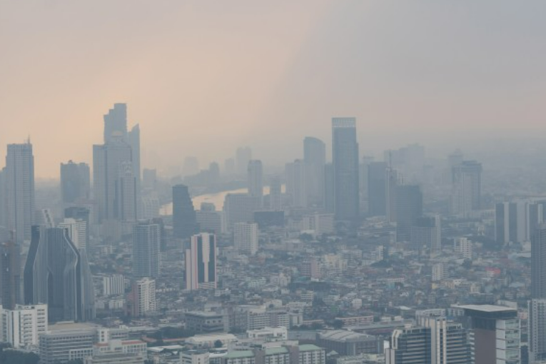 개과천선의 내맘정보공유 미세먼지/황사 (원인, 신체에 끼치는 영향, 방지대책 및 국가 정책 상황)