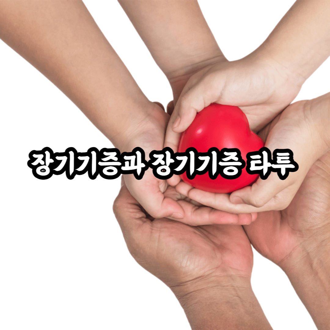 장기기증 타투 장기기증 신청방법