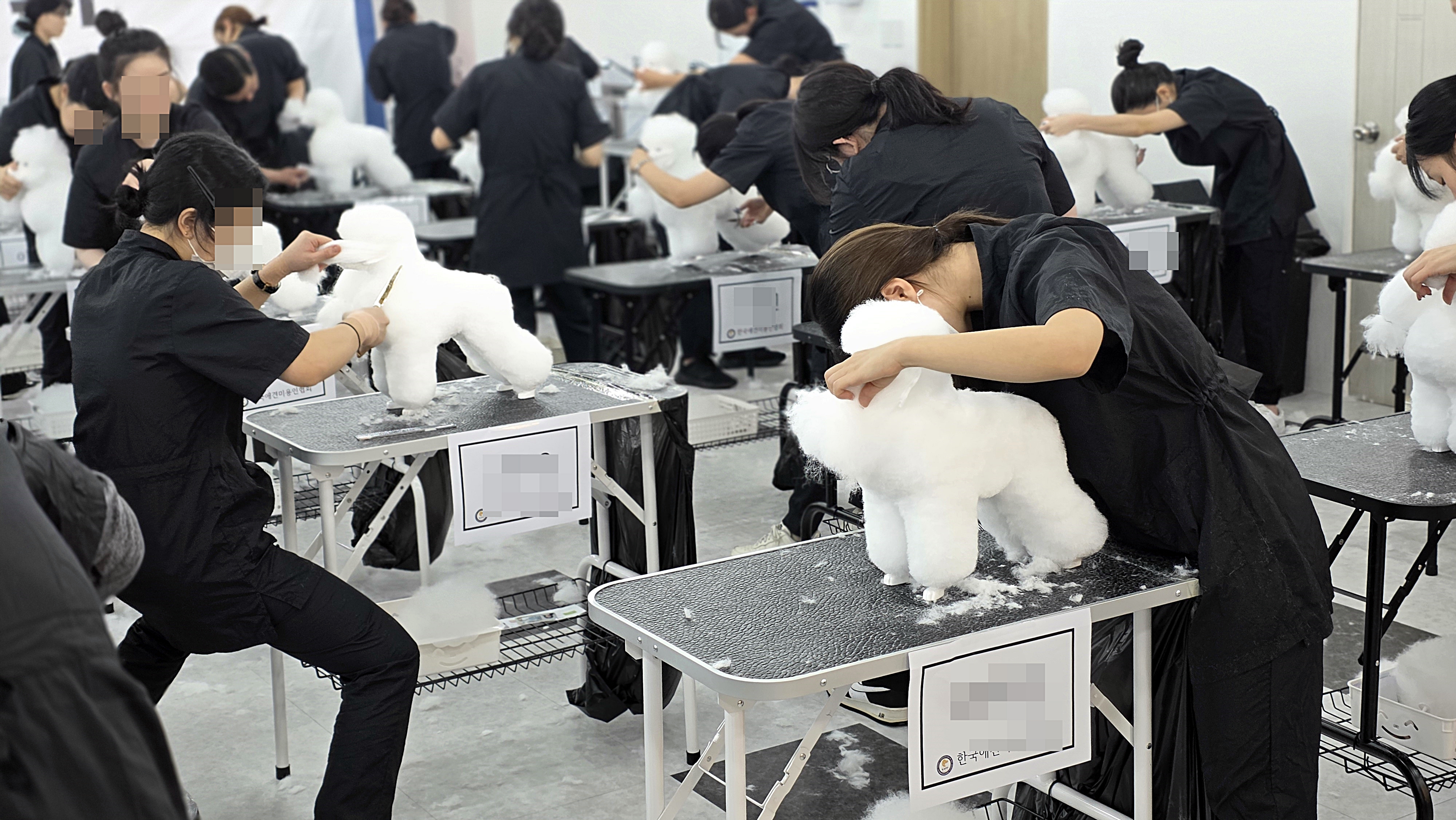 애견미용자격증시험